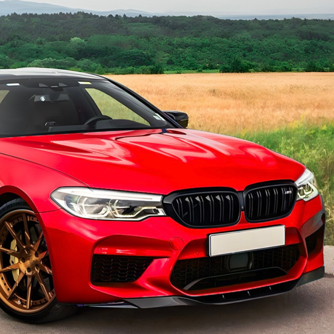 F90 RKP Lip
